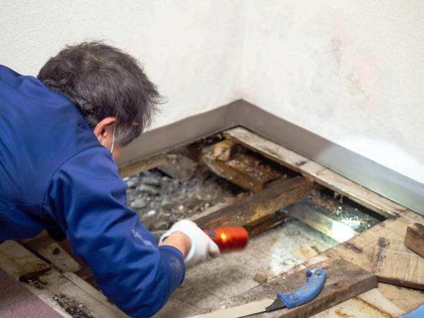 Best Water Damage Restoration  in Bristol, CT