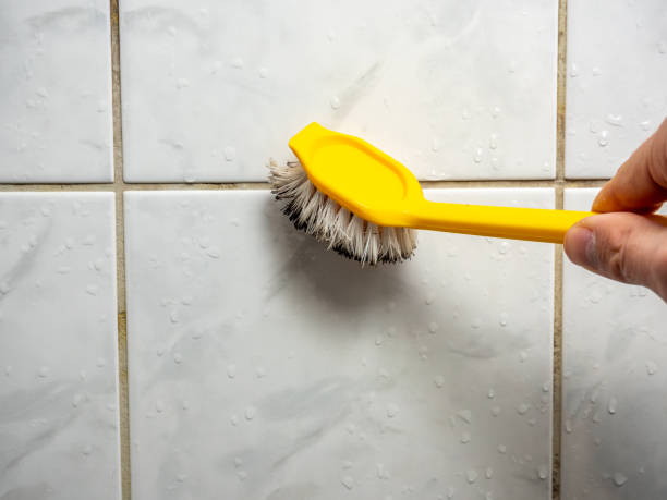 Bristol, CT Mold Removal Company