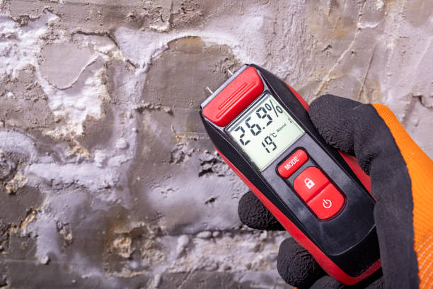 Best Water Damage Restoration  in Bristol, CT