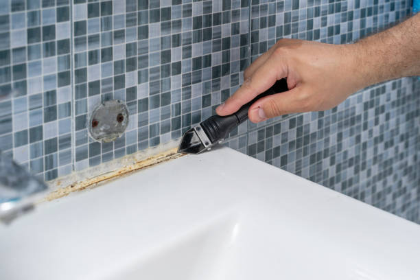 Best Emergency Mold Removal  in Bristol, CT